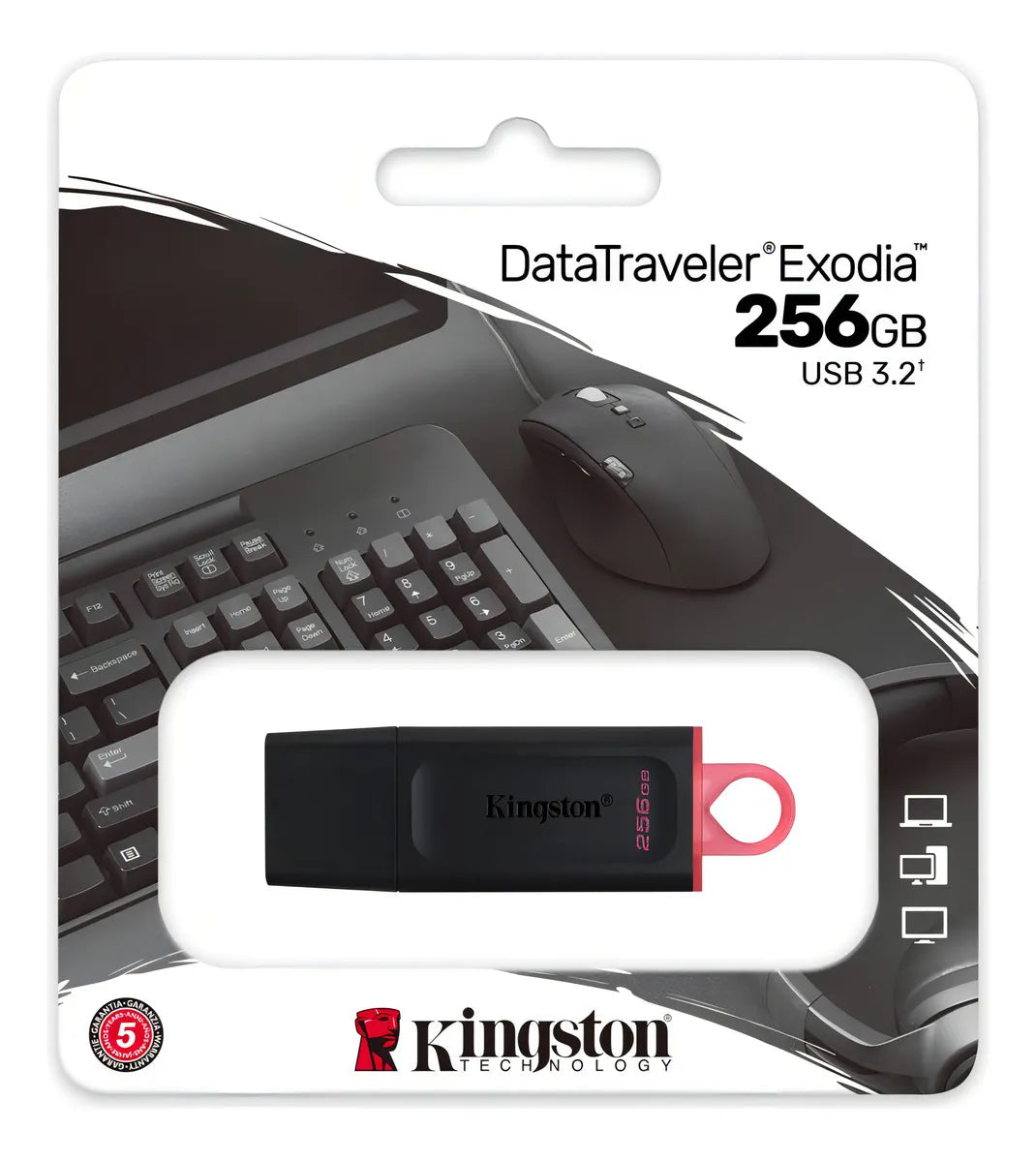 Kingston Pendrive Datatraveler Dtx/256gb Practico 3.2 Gen 1®