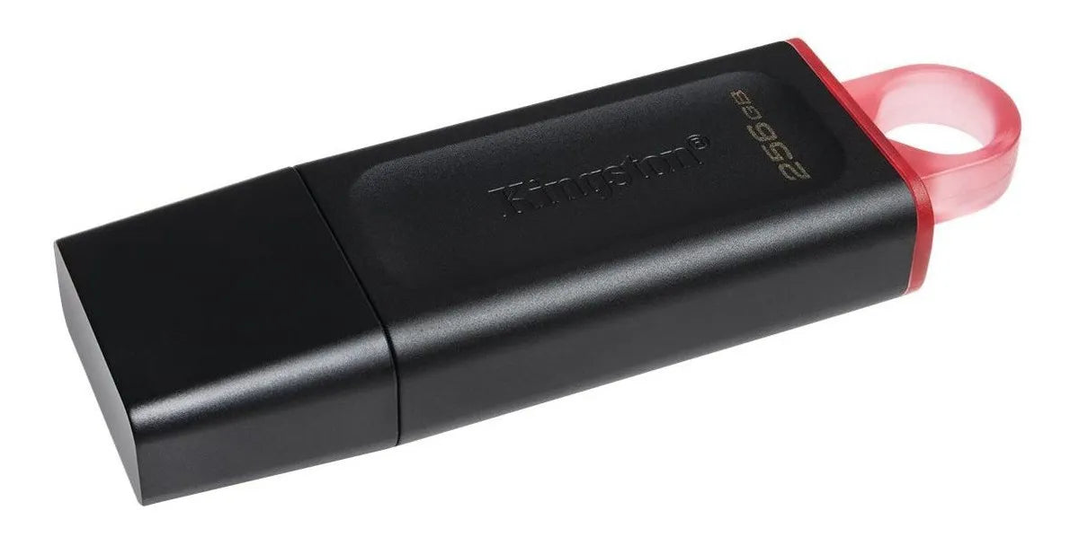 Kingston Pendrive Datatraveler Dtx/256gb Practico 3.2 Gen 1®