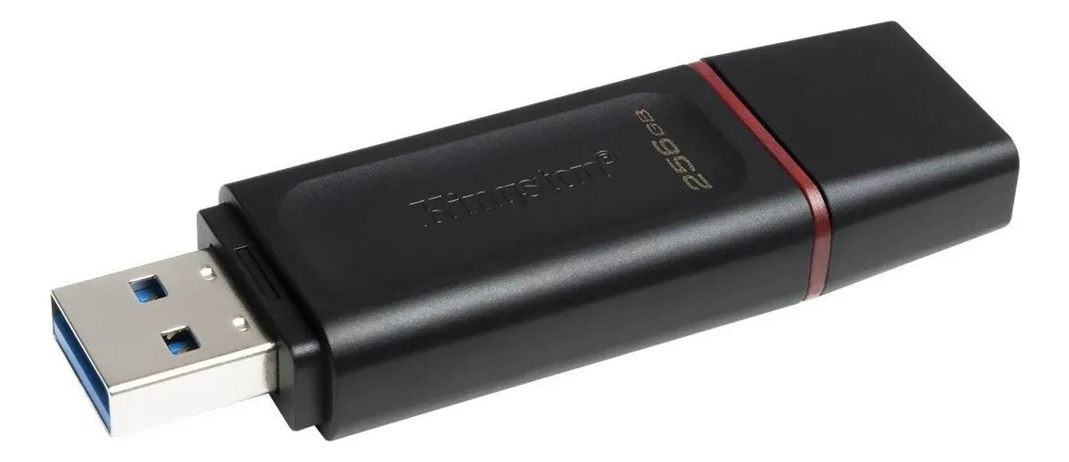 Kingston Pendrive Datatraveler Dtx/256gb Practico 3.2 Gen 1®