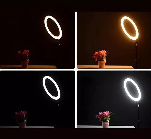 Aro Luz Led Profesional 36cm Con 3 Soportes Para Celular®
