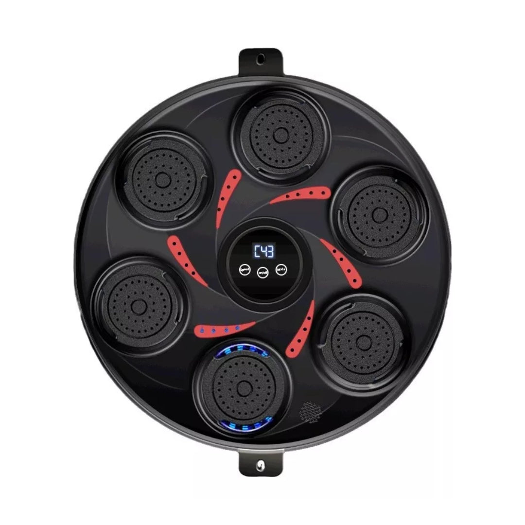 Entrenador Boxeo Pared Profesional 6 Objetivos 9 Velocidade®