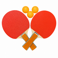 Set De Ping Pong De 2 Paletas Y 3 Pelotas®