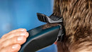 Cortadora De Pelo, Barba Philips Series 3000 Hc3505 Azul®