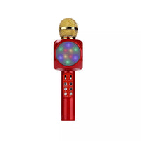 Micrófono Inalámbrico Con Parlante Y Luces Rgb Para Niños
