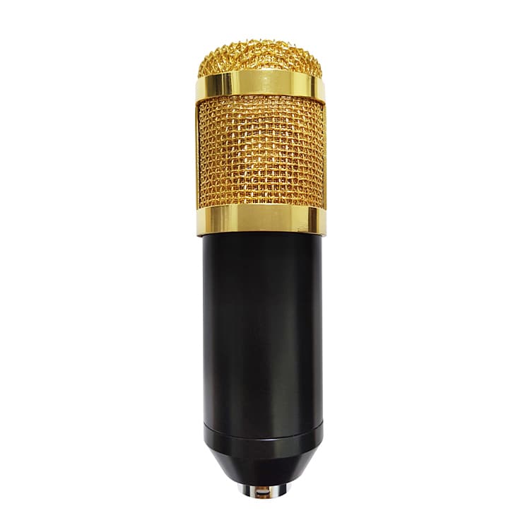 Micrófono Studio Condensador Podcast Bm-800