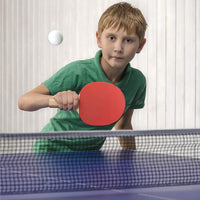 Set Ping Pong Red Extensible 2 Paletas 3 Pelotas Profesional