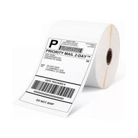 Rollo Etiquetas Térmicas Adhesivo 100*150mm 500 Papeles®