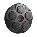 Entrenador De Boxeo Pared 5 Objetivos 9 Velocidades Music®
