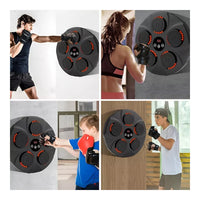 Entrenador De Boxeo Pared 5 Objetivos 9 Velocidades Music®