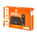 Goldtech Gbox Lite Tv Box 4k 16gb 2gb Wifi Voice Assistant®