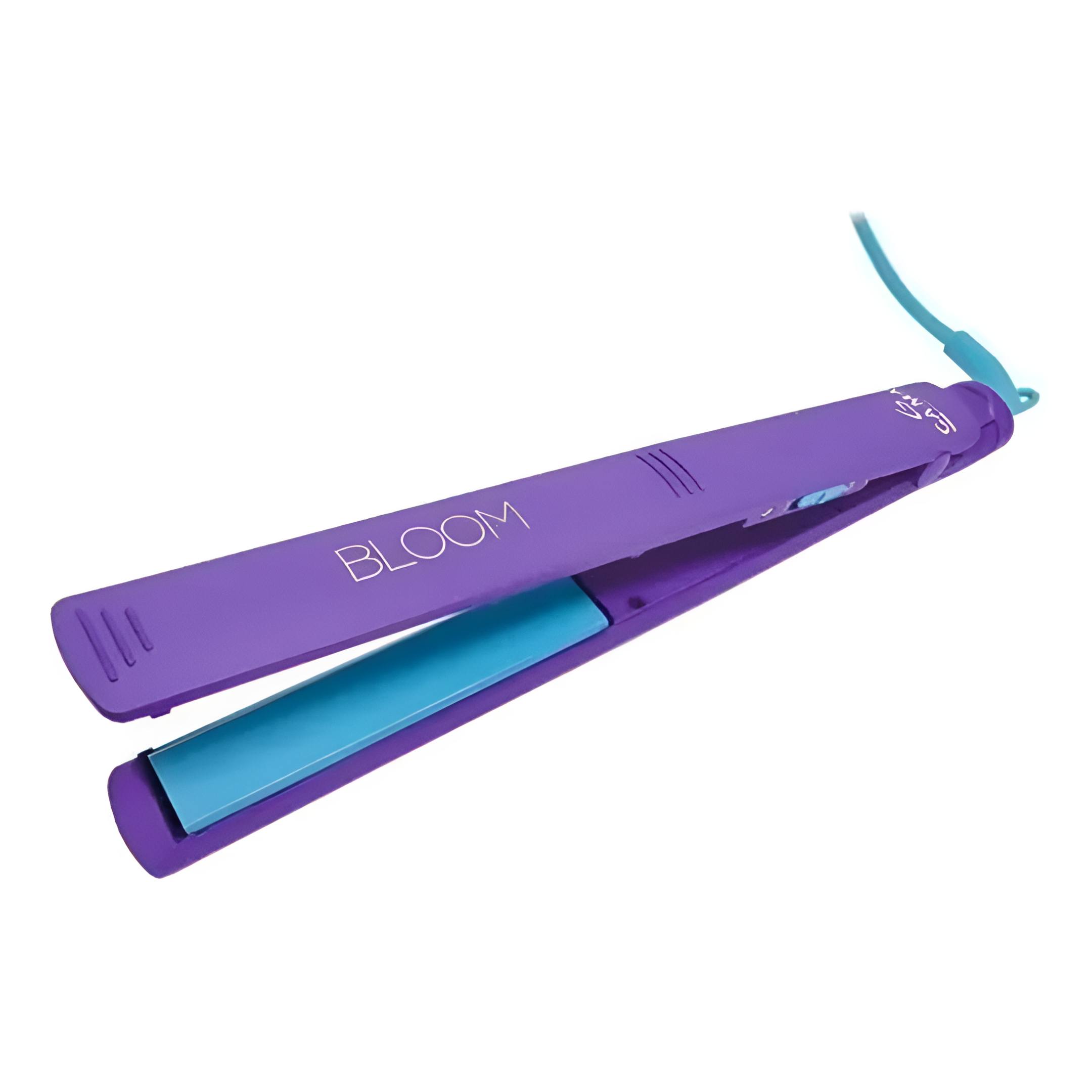 Plancha De Pelo GAMA Italy Pro Elegance Led Bloom Violet®