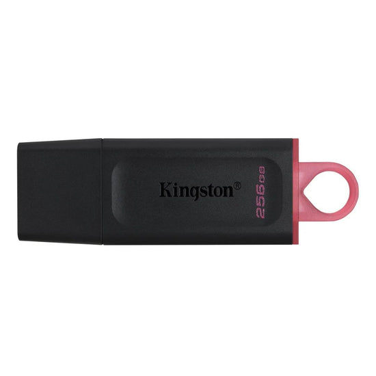 Kingston Pendrive Datatraveler Dtx/256gb®