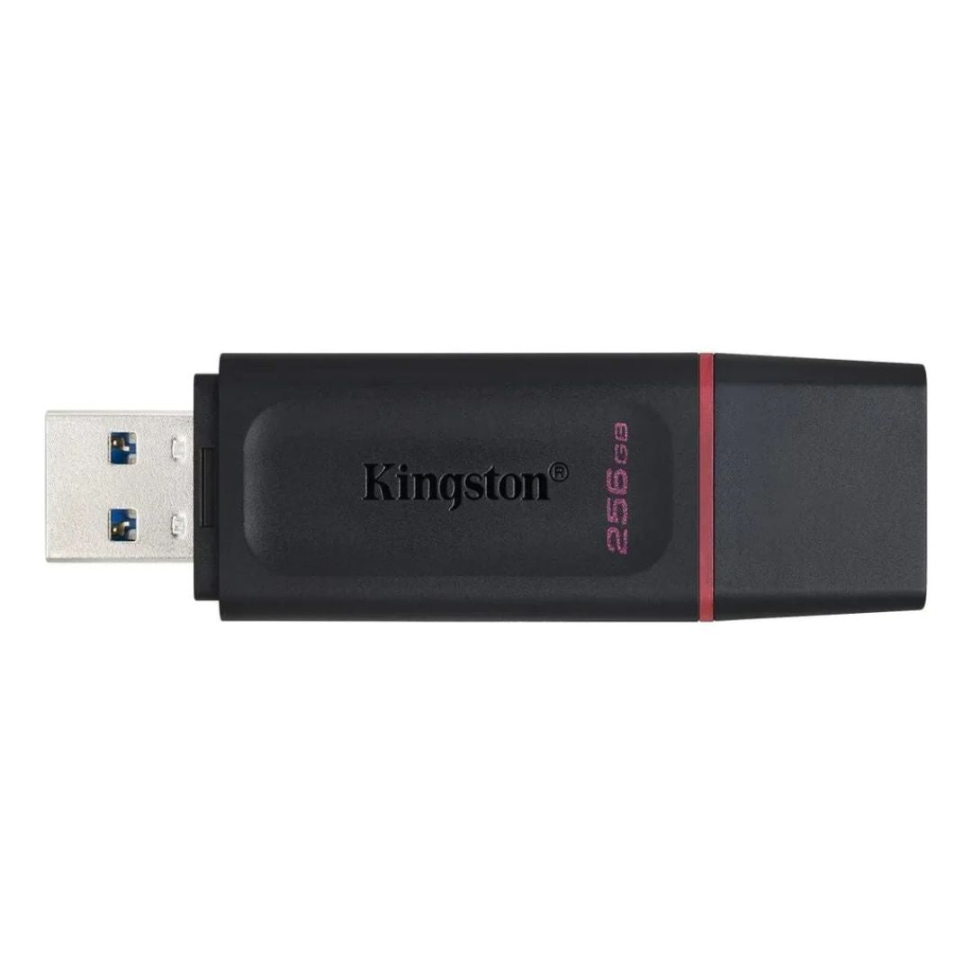 Kingston Pendrive Datatraveler Dtx/256gb®