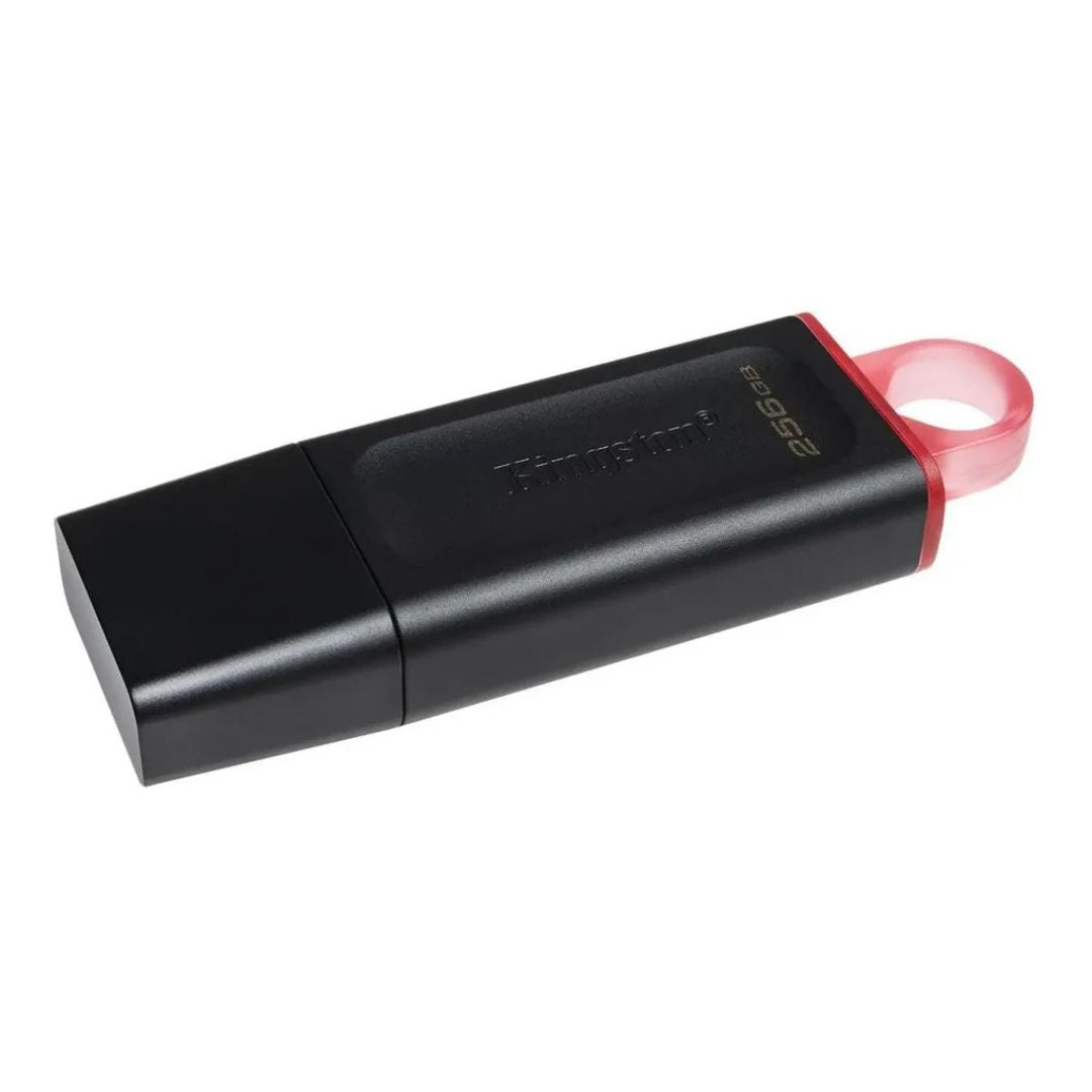Kingston Pendrive Datatraveler Dtx/256gb®