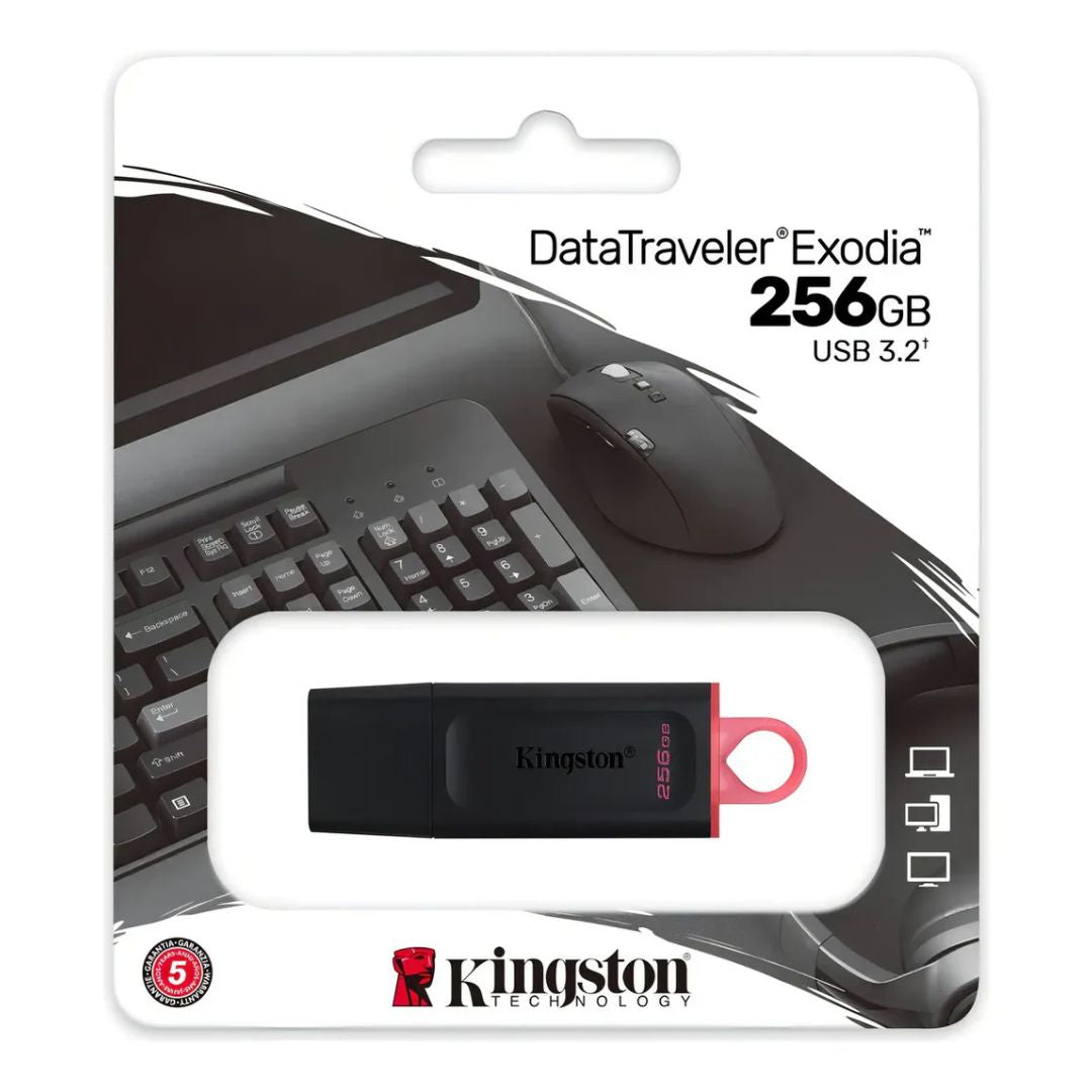 Kingston Pendrive Datatraveler Dtx/256gb®