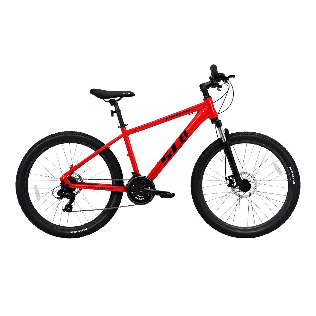 Bicicleta Stormrider Slb Profesional Rod 27.5 21v Cuadro L®